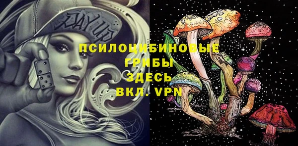 гидра Медногорск