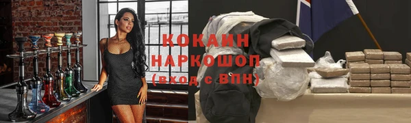 спиды Магас