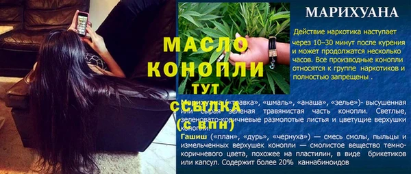спиды Магас