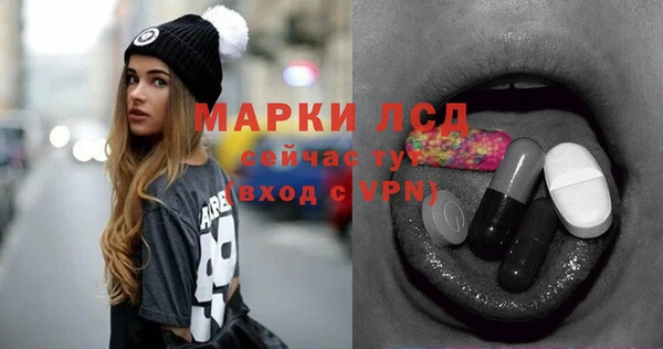 сатива Новокубанск