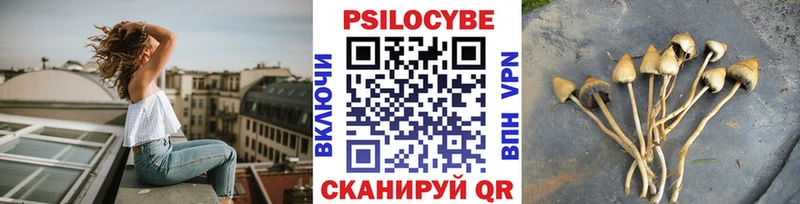 Купить закладки  Арсеньев  Псилоцибиновые грибы Cubensis 